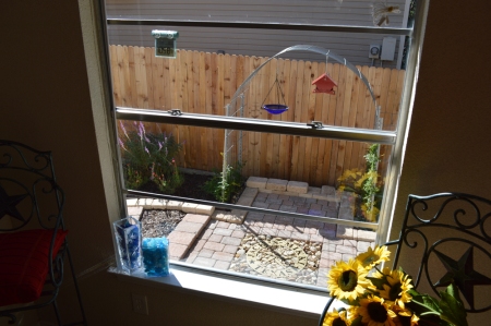 2014-10-14 Kitchen garden from window 1